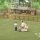 Little Forest Episode 16 Subtitle Indonesia Little Forest Episode 16 Subtitle Indonesia